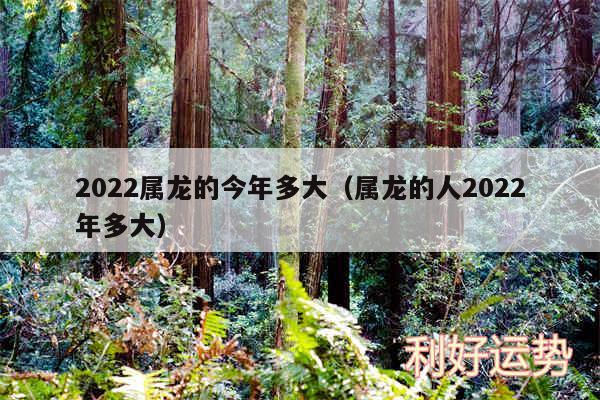 2024属龙的今年多大以及属龙的人2024年多大