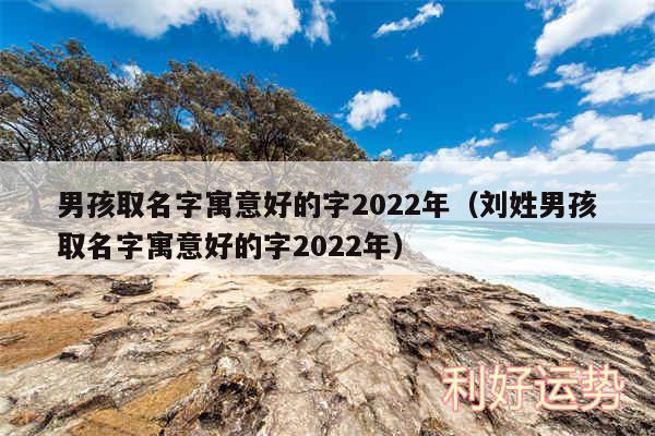 男孩取名字寓意好的字2024年以及刘姓男孩取名字寓意好的字2024年