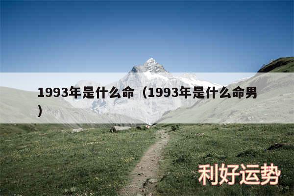 1993年是什么命以及1993年是什么命男