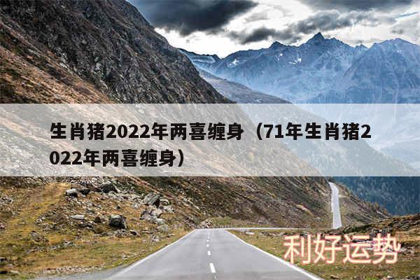 生肖猪2024年两喜缠身以及71年生肖猪2024年两喜缠身