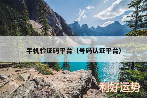 手机验证码平台以及号码认证平台