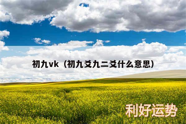 初九vk以及初九爻九二爻什么意思