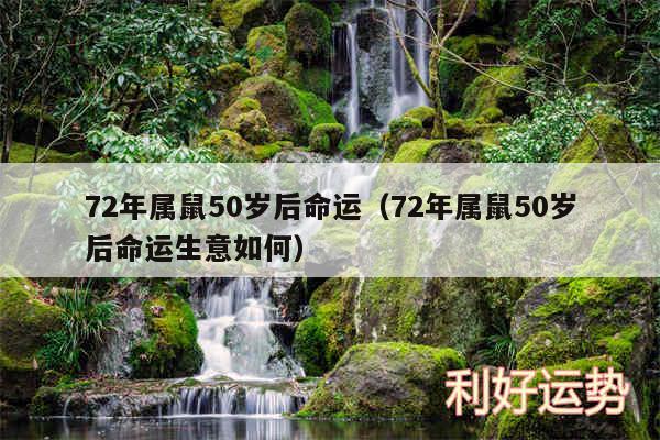 72年属鼠50岁后命运以及72年属鼠50岁后命运生意如何