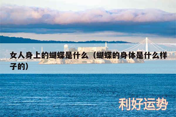 女人身上的蝴蝶是什么以及蝴蝶的身体是什么样子的