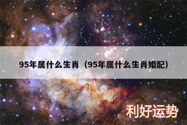 95年属什么生肖以及95年属什么生肖婚配