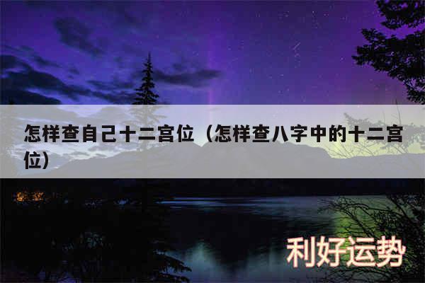 怎样查自己十二宫位以及怎样查八字中的十二宫位