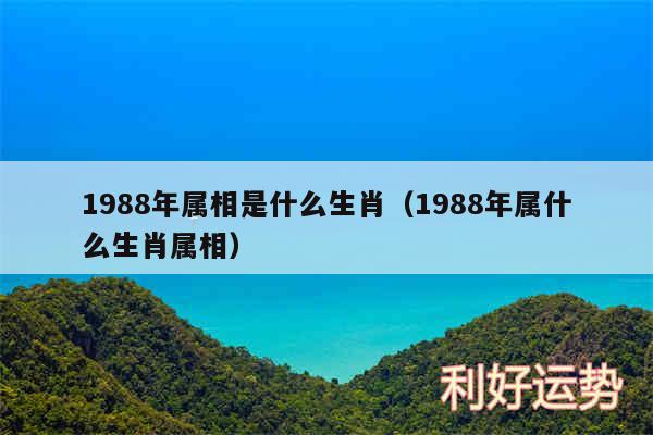 1988年属相是什么生肖以及1988年属什么生肖属相