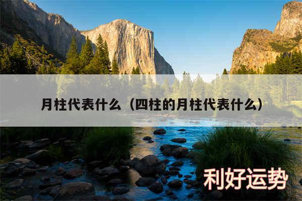 月柱代表什么以及四柱的月柱代表什么