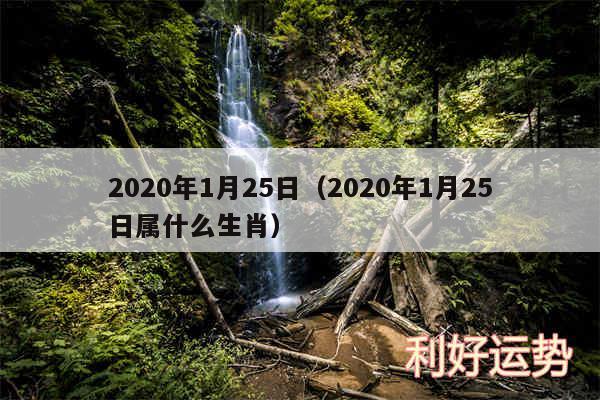 2020年1月25日以及2020年1月25日属什么生肖