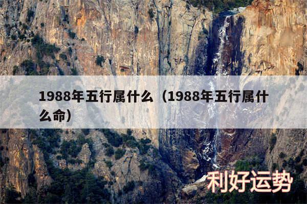 1988年五行属什么以及1988年五行属什么命