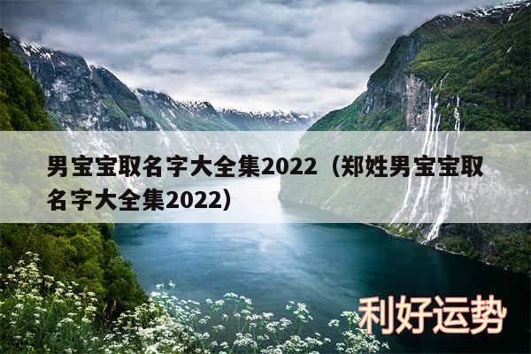 男宝宝取名字大全集2024以及郑姓男宝宝取名字大全集2024