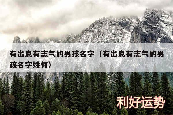 有出息有志气的男孩名字以及有出息有志气的男孩名字姓何