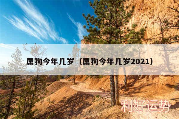 属狗今年几岁以及属狗今年几岁2024