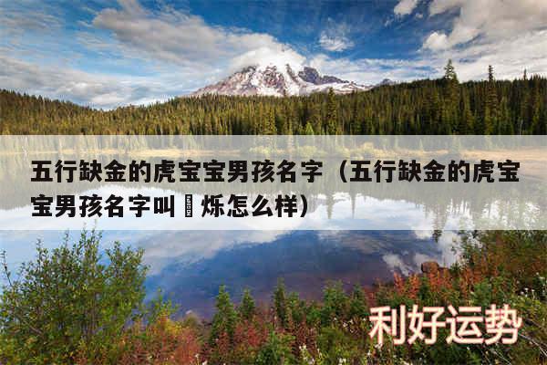 五行缺金的虎宝宝男孩名字以及五行缺金的虎宝宝男孩名字叫璟烁怎么样