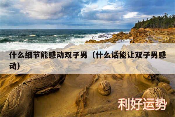 什么细节能感动双子男以及什么话能让双子男感动