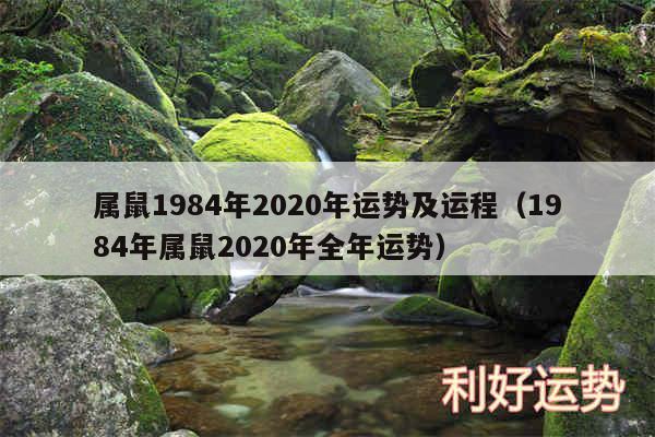 属鼠1984年2020年运势及运程以及1984年属鼠2020年全年运势