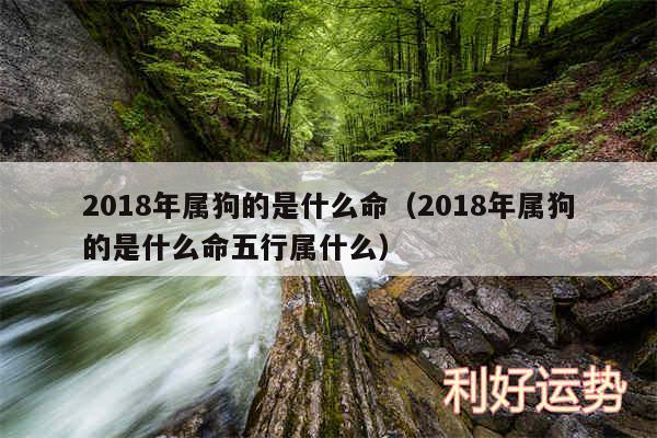 2018年属狗的是什么命以及2018年属狗的是什么命五行属什么