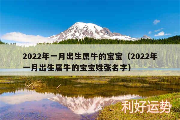 2024年一月出生属牛的宝宝以及2024年一月出生属牛的宝宝姓张名字