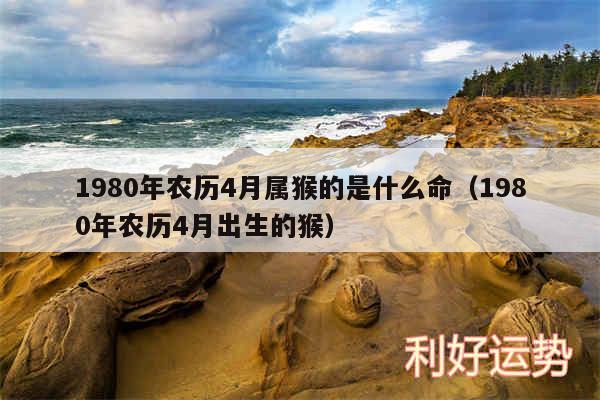 1980年农历4月属猴的是什么命以及1980年农历4月出生的猴