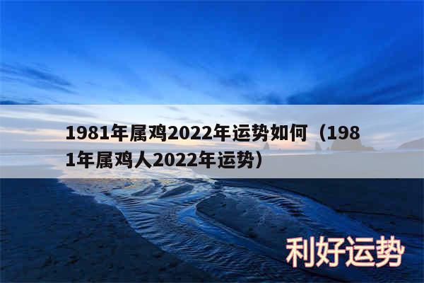 1981年属鸡2024年运势如何以及1981年属鸡人2024年运势