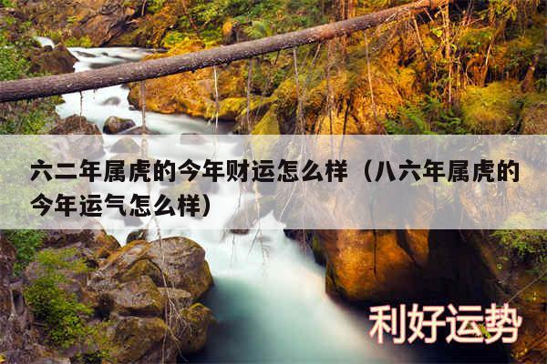 六二年属虎的今年财运怎么样以及八六年属虎的今年运气怎么样