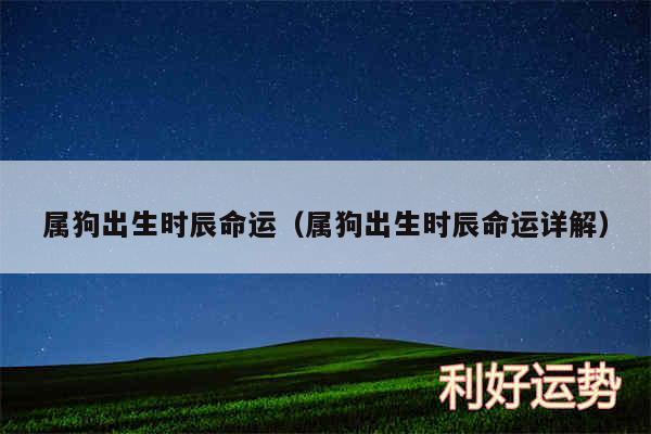 属狗出生时辰命运以及属狗出生时辰命运详解