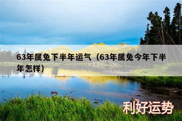 63年属兔下半年运气以及63年属兔今年下半年怎样