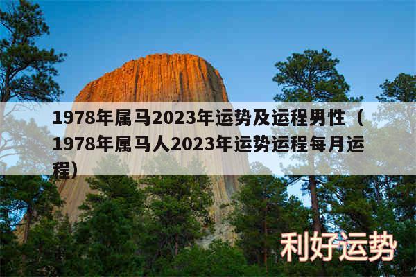 1978年属马2024年运势及运程男性以及1978年属马人2024年运势运程每月运程