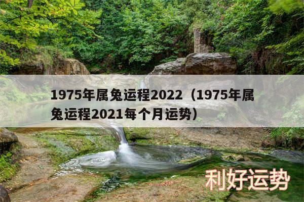 1975年属兔运程2024以及1975年属兔运程2024每个月运势