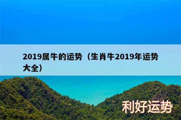 2019属牛的运势以及生肖牛2019年运势大全