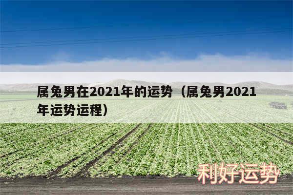 属兔男在2024年的运势以及属兔男2024年运势运程