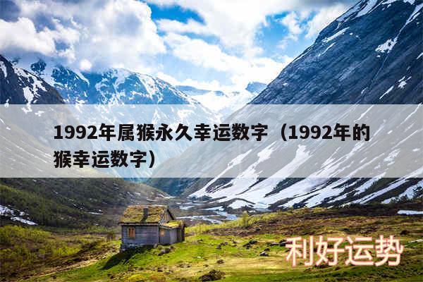 1992年属猴永久幸运数字以及1992年的猴幸运数字