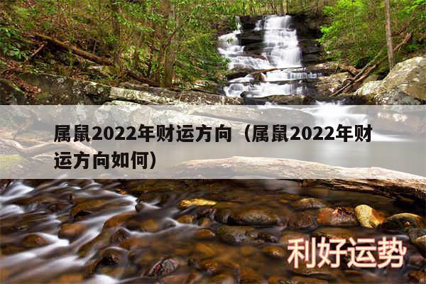 属鼠2024年财运方向以及属鼠2024年财运方向如何