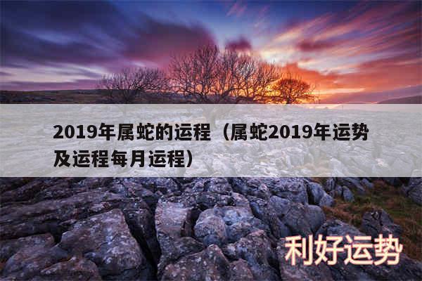 2019年属蛇的运程以及属蛇2019年运势及运程每月运程