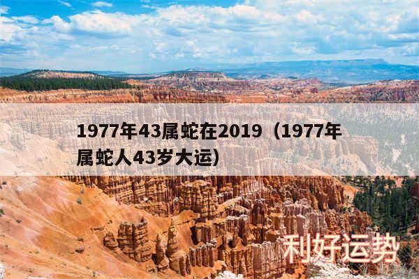 1977年43属蛇在2019以及1977年属蛇人43岁大运