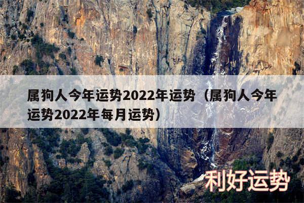 属狗人今年运势2024年运势以及属狗人今年运势2024年每月运势