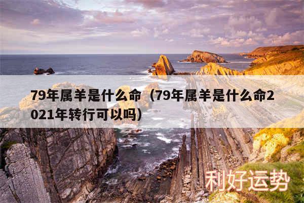 79年属羊是什么命以及79年属羊是什么命2024年转行可以吗