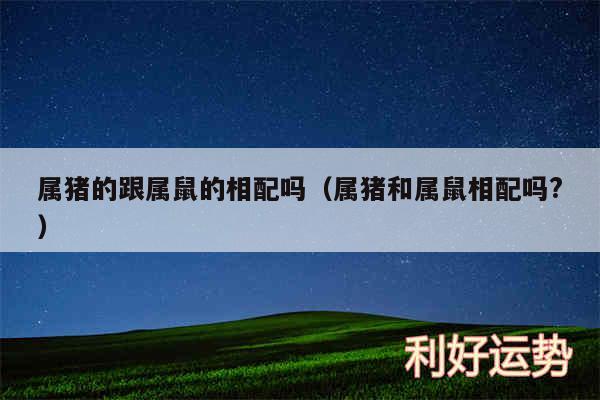 属猪的跟属鼠的相配吗以及属猪和属鼠相配吗?