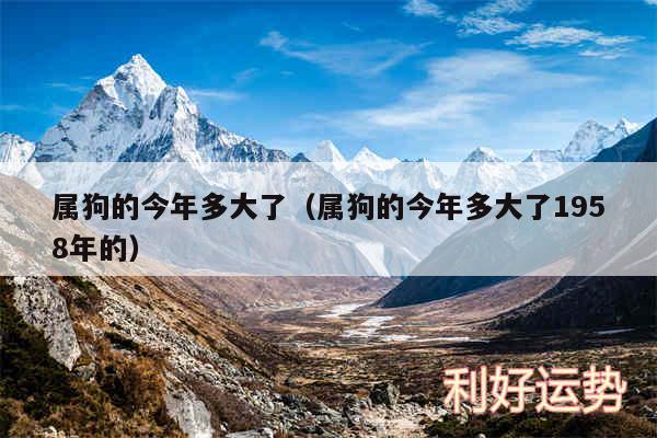 属狗的今年多大了以及属狗的今年多大了1958年的