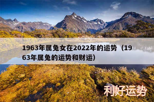 1963年属兔女在2024年的运势以及1963年属兔的运势和财运