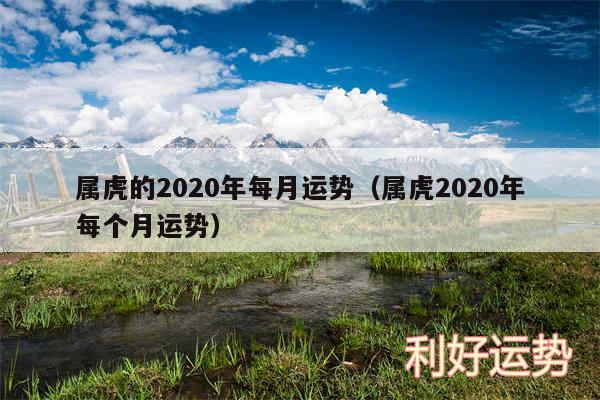 属虎的2020年每月运势以及属虎2020年每个月运势