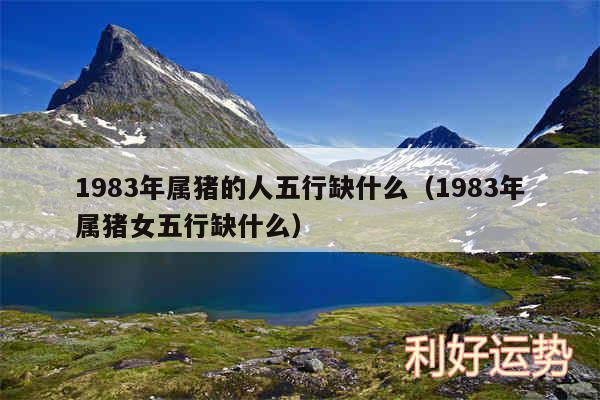 1983年属猪的人五行缺什么以及1983年属猪女五行缺什么