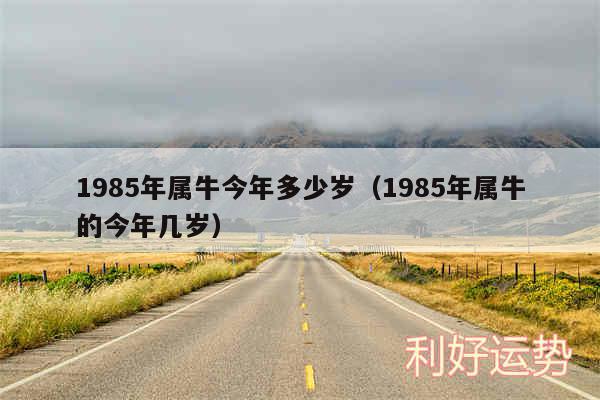 1985年属牛今年多少岁以及1985年属牛的今年几岁