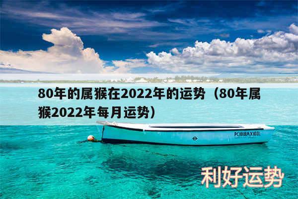 80年的属猴在2024年的运势以及80年属猴2024年每月运势