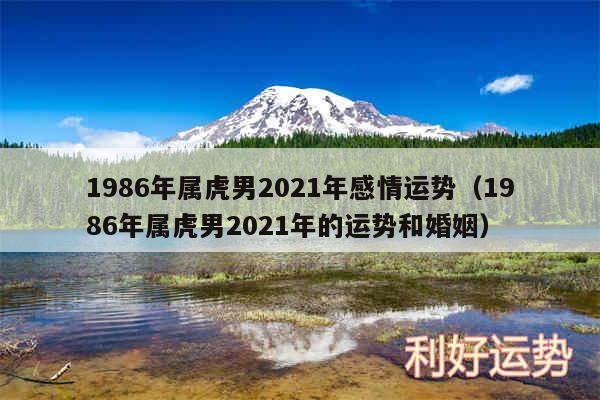 1986年属虎男2024年感情运势以及1986年属虎男2024年的运势和婚姻