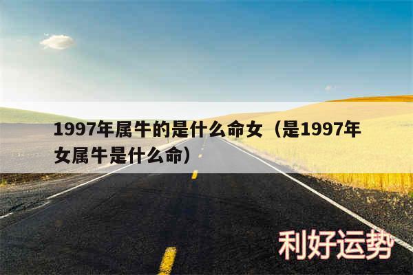 1997年属牛的是什么命女以及是1997年女属牛是什么命