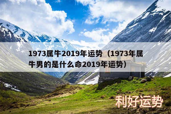 1973属牛2019年运势以及1973年属牛男的是什么命2019年运势