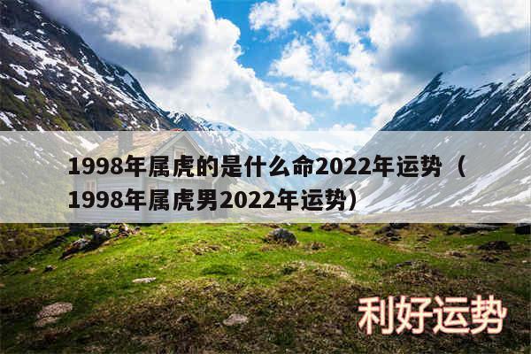 1998年属虎的是什么命2024年运势以及1998年属虎男2024年运势