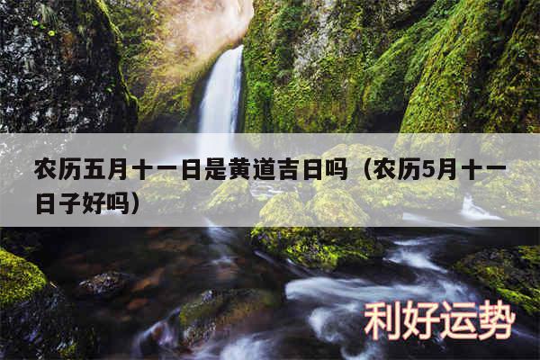 农历五月十一日是黄道吉日吗以及农历5月十一日子好吗