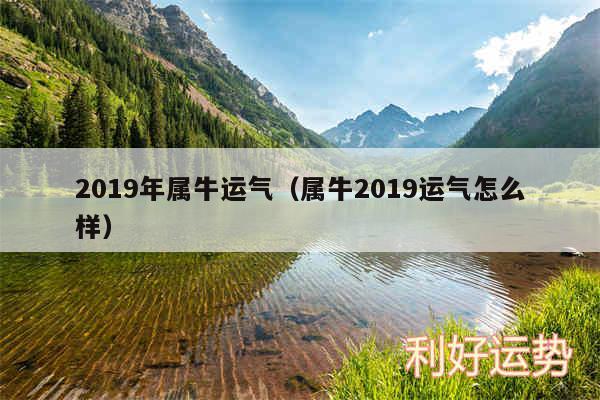 2019年属牛运气以及属牛2019运气怎么样